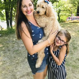 Goldendoodle Puppies from Lakeside Doodles