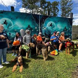 Airedale Terrier Puppies from Cool Hand Luke Kennels