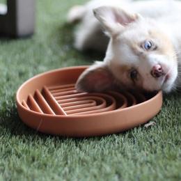 Miniature Australian Shepherd and Toy Australian Shepherd Puppies from Stone & Sage ATX Toy & Mini Aussies