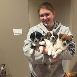 Pembroke Welsh Corgi Puppies from KBI FARM
