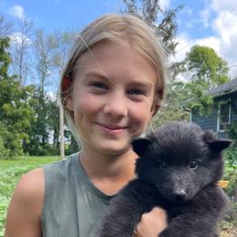 Belgian Sheepdog puppies from Century Hills Farm