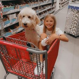Goldendoodle All Grown Up from Doodle Life Goldendoodles