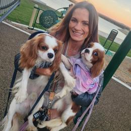 Cavalier King Charles Spaniel puppies from Toledo Bend Cavaliers