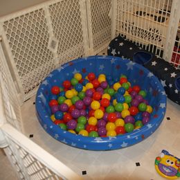 Schapendoes Puppies from Dream Star Schapendoes