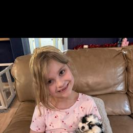 Bernedoodle and Goldendoodle Puppies from Donnas Deluxe Doodles LLC