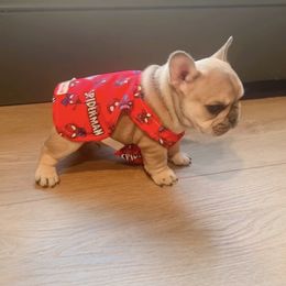 French Bulldog Puppies from The Midwest Frenchies