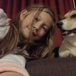 Labrador Retriever and Pembroke Welsh Corgi All Grown Up from Burress Family Farm and Kennels