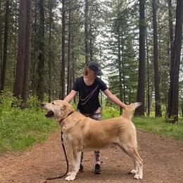 Central Asian Shepherd Dog All Grown Up from Alabaivalley