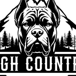 Cane Corso from High Country Corsos