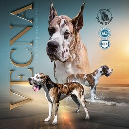 Vecna - Great Dane