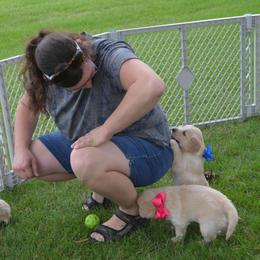Luna (Pink collar) - Golden female Golden Retriever puppy in Webster City, Iowa from Whispering Pines Precious Puppies