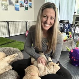 Golden Retriever Puppies from Golden Hour Golden Retrievers