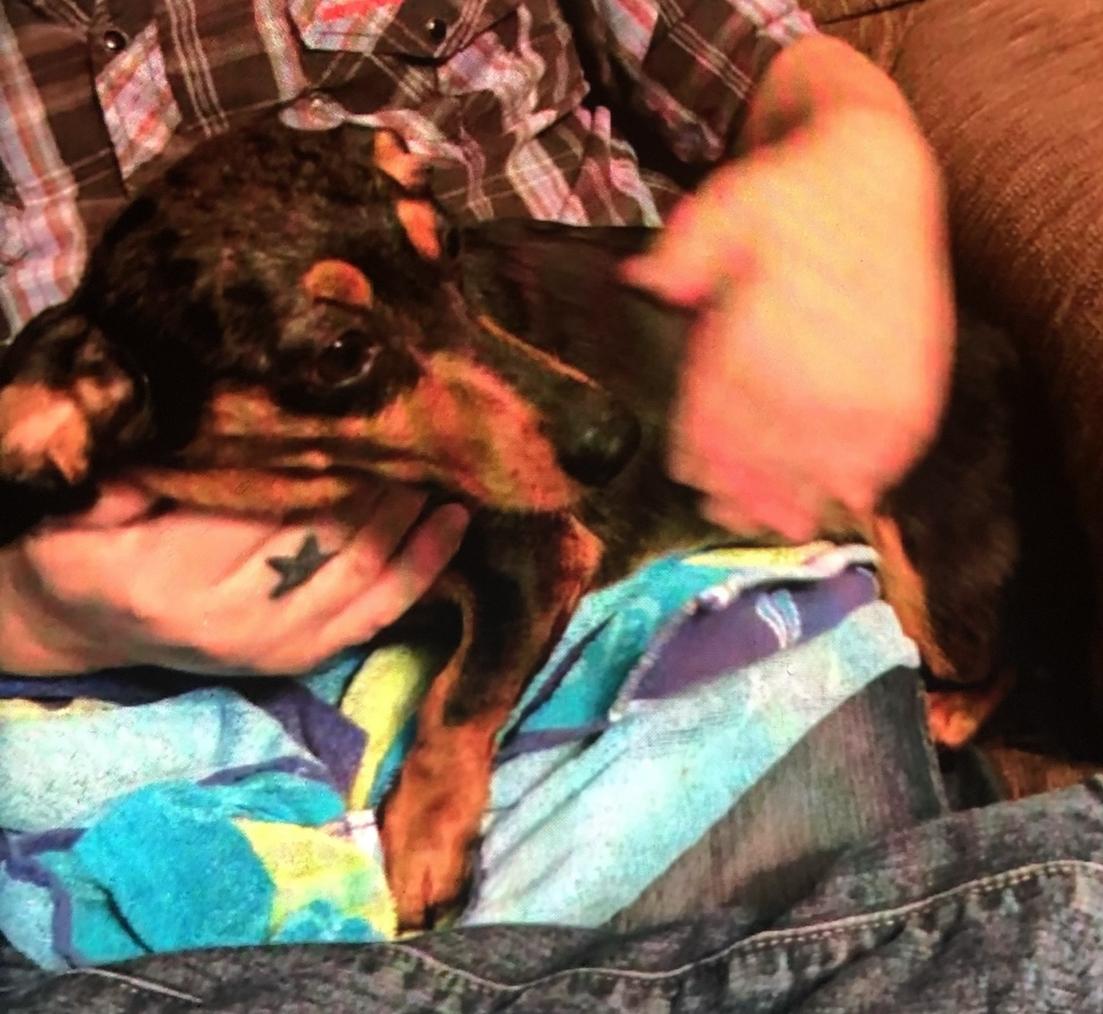 Rufus