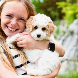 Ginger Spice Girl (RED Girl) - Cream female Goldendoodle puppy in Highland, Utah from Angel Pups Deluxe