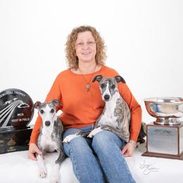 Whippet puppies from Affinity