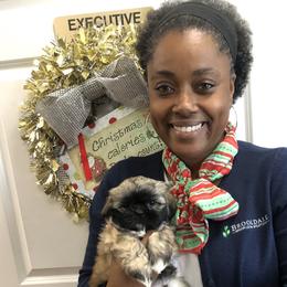 Shih Tzu Puppies from Sugar Paws Heavenly Shih Tzu’s