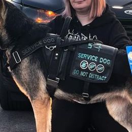 German Shepherds from Twin Tails GSDs