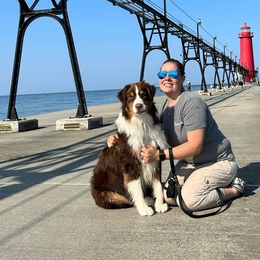 Buddy - Australian Shepherd