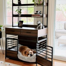 Bulldog and French Bulldog Puppies from Silver State Bulldogs