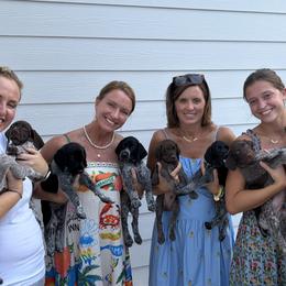 German Shorthaired Pointers from Buck GSP
