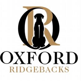 Rhodesian Ridgebacks from Oxford Ridgebacks
