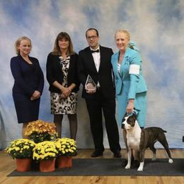 American Staffordshire Terrier All Grown Up from Aim High Kennels