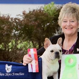 French Bulldogs from Sapphire Skies French Bulldogs
