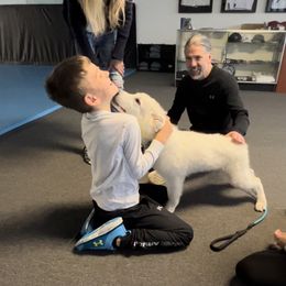 Berger Blanc Suisse Puppies from Nasha Comanda White Swiss Shepherds