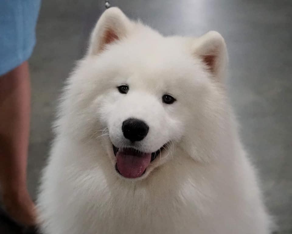 Happy