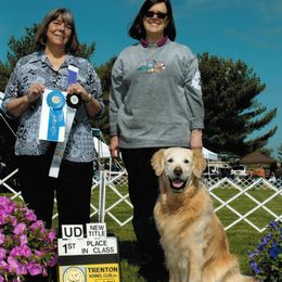 Golden Retrievers from Gaylan's Golden Retrievers