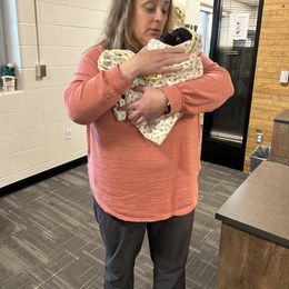 Cocker Spaniel Puppies from Cockers of Country Lane