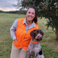 Kheris - German Wirehaired Pointer