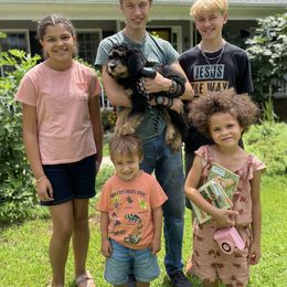 Gunther DNA results attached - Phantom male Bernedoodle puppy in Wilkesboro, North Carolina from Bernedoodle Love Puppies