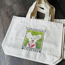 Maltese All Grown Up from MiaMiaMaltese Colorado