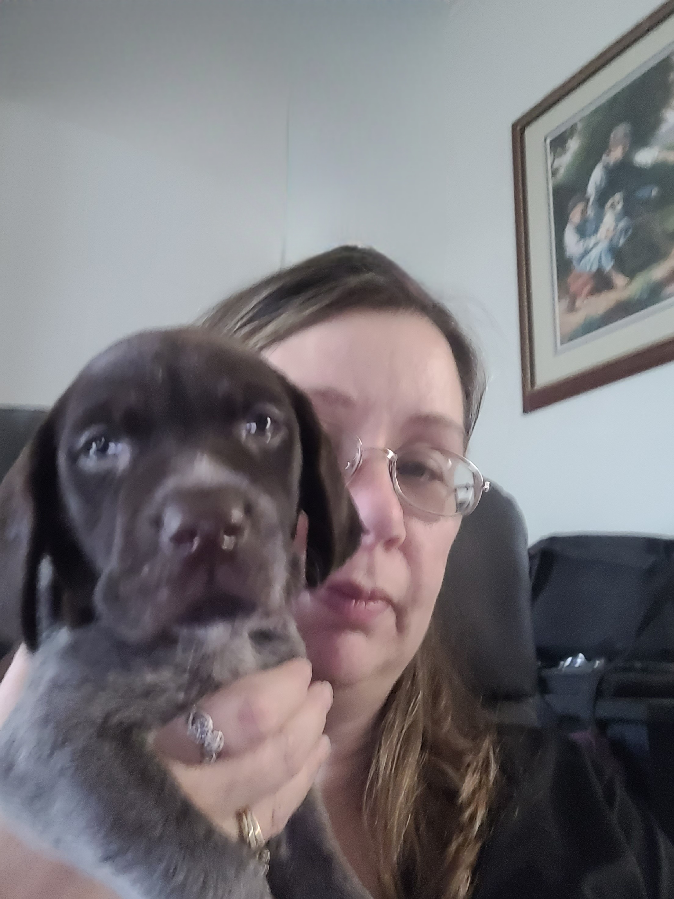 German Shorthaired Pointer Puppies from Stoney Fork German Shorthaired Pointers