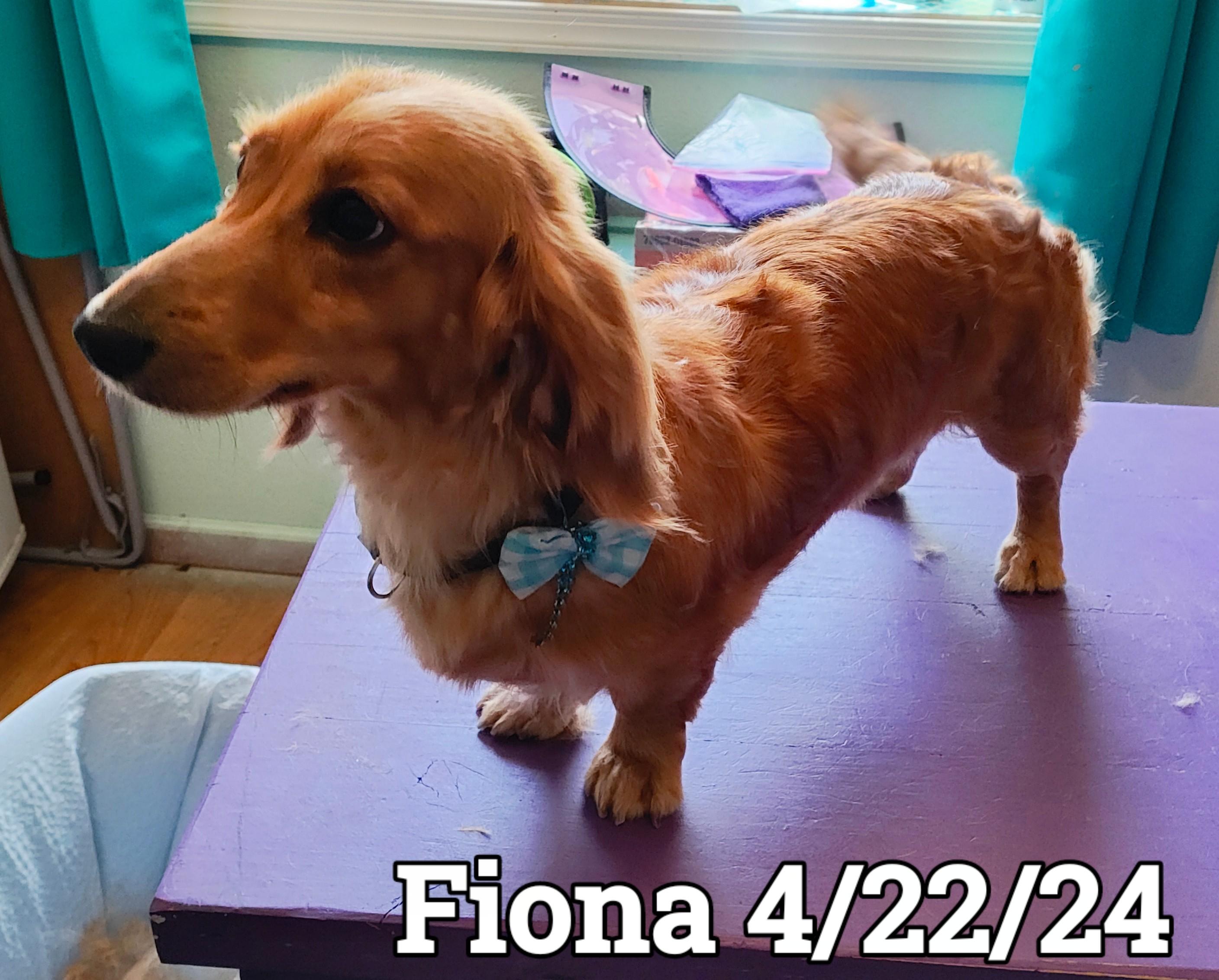 Fiona