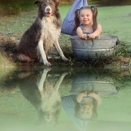 Radar - Border Collie