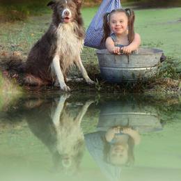 Radar - Border Collie