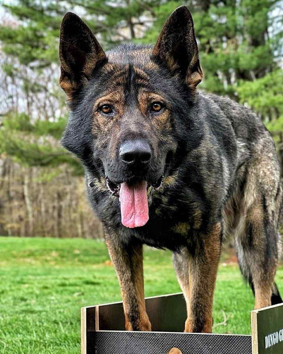 Kilo