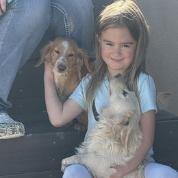Dachshunds and French Bulldogs from Slash O Kennels