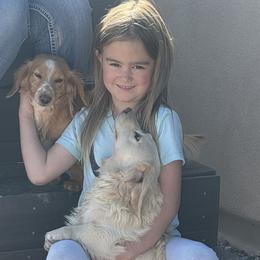 Dachshunds and French Bulldogs from Slash O Kennels