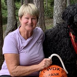Portuguese Water Dogs from HiBisKiss