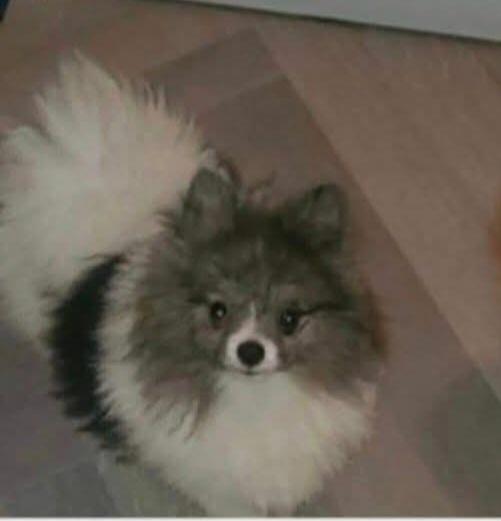 Tiny