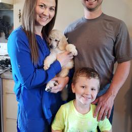 Poodle Puppies from Countryside Standard Poodles