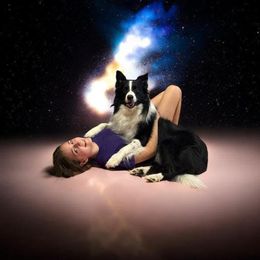Tux - Border Collie