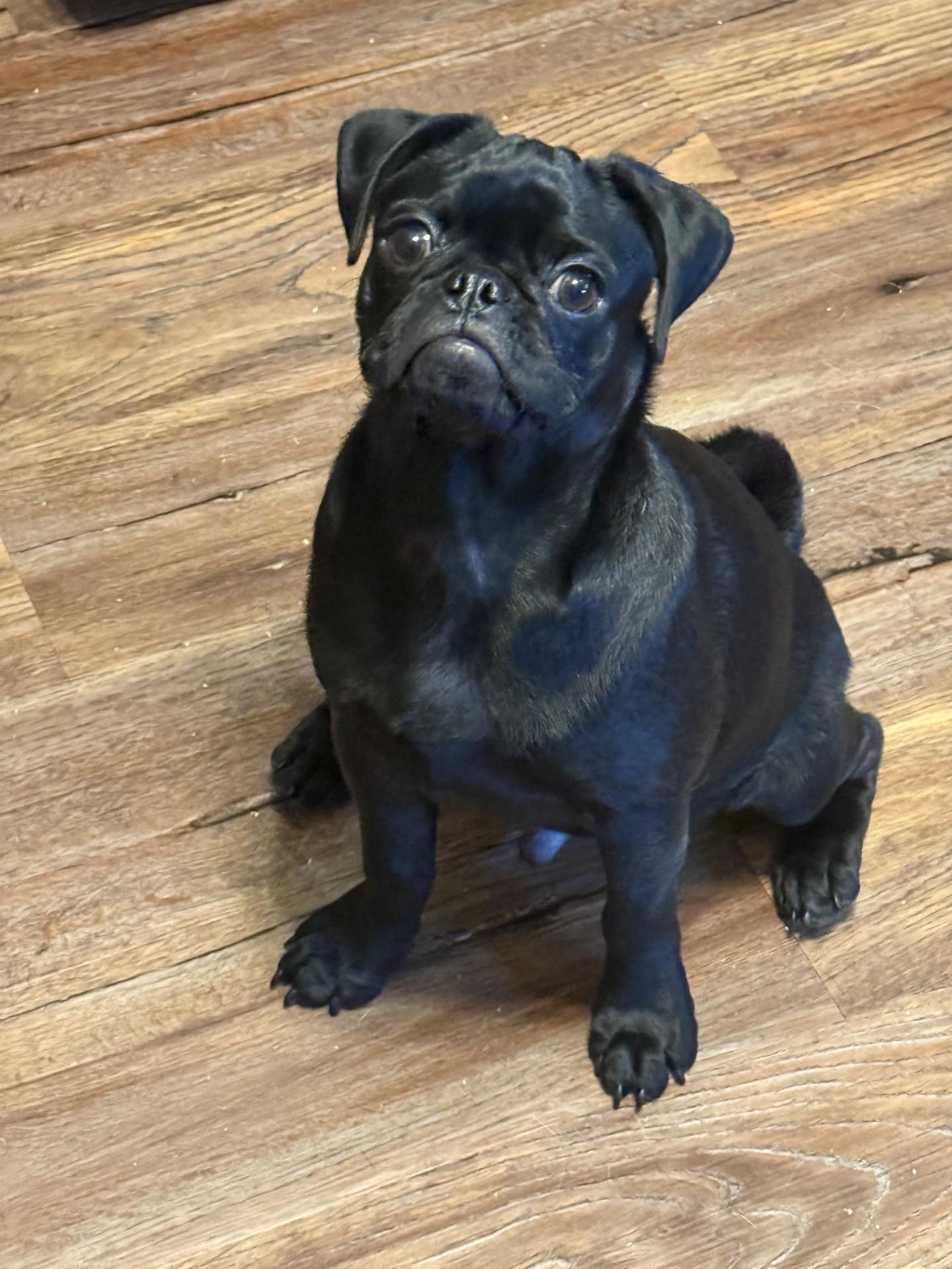 Charlie