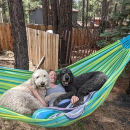 Goldendoodle Puppies from Pat's Poodle Pups & Moore
