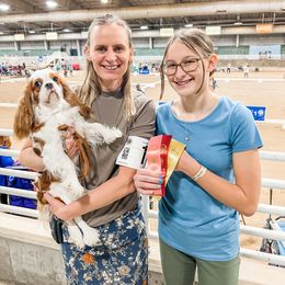 Cavalier King Charles Spaniel and Golden Retriever All Grown Up from Emerald Grove Puppies
