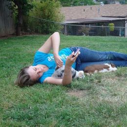 Australian Shepherd Puppies from Triple MMM Kennel