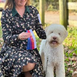 CH BRT Beyond Journeys End - Orange roan male Lagotto Romagnolo puppy in Canton, Georgia from Brianna Johnson